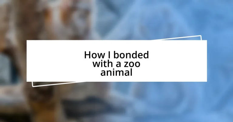 How I bonded with a zoo animal