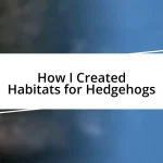 How I Created Habitats for Hedgehogs