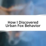 How I Discovered Urban Fox Behavior