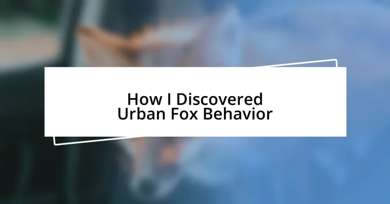 How I Discovered Urban Fox Behavior