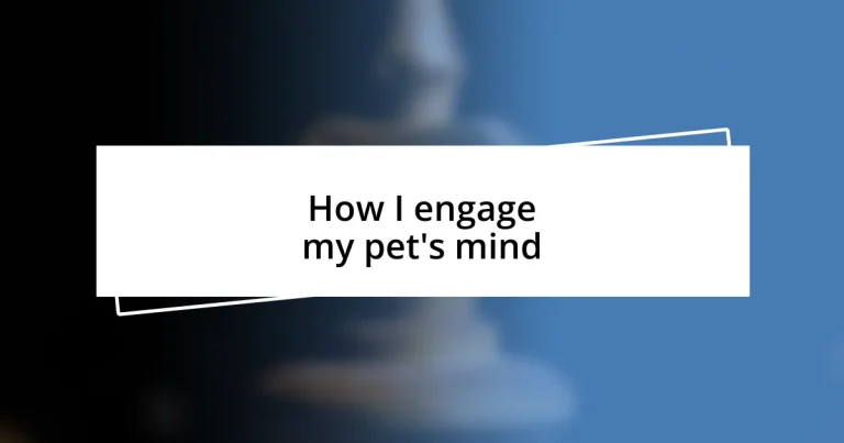 How I engage my pet’s mind