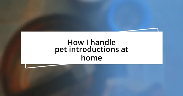 How I handle pet introductions at home