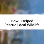 How I Helped Rescue Local Wildlife