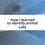 How I learned to identify animal calls