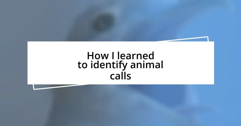 How I learned to identify animal calls