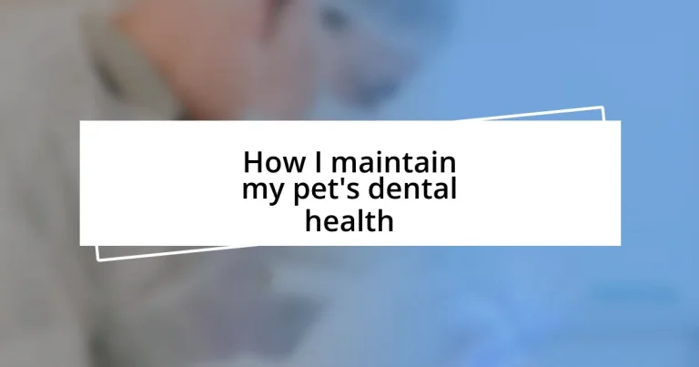 How I maintain my pet’s dental health