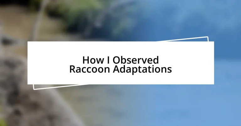 How I Observed Raccoon Adaptations