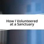 How I Volunteered at a Sanctuary