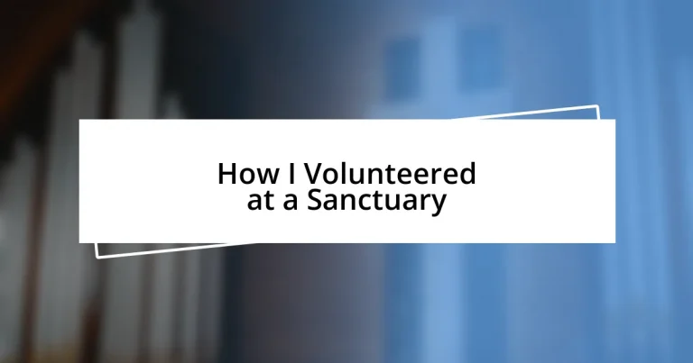 How I Volunteered at a Sanctuary