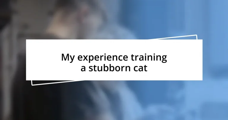 My experience training a stubborn cat