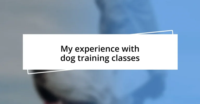 My experience with dog training classes