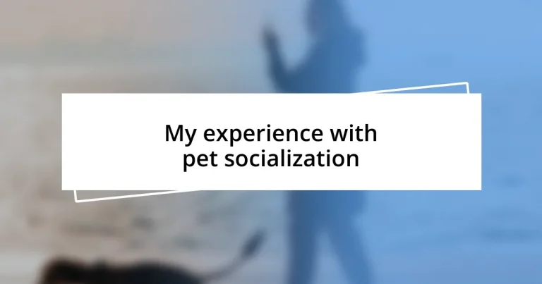 My experience with pet socialization