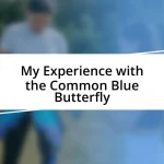 My Experience with the Common Blue Butterfly