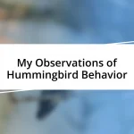 My Observations of Hummingbird Behavior