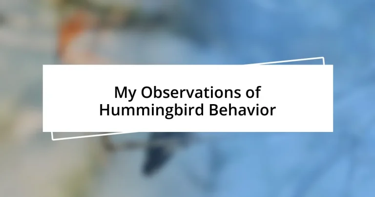 My Observations of Hummingbird Behavior