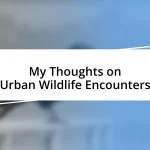 My Thoughts on Urban Wildlife Encounters