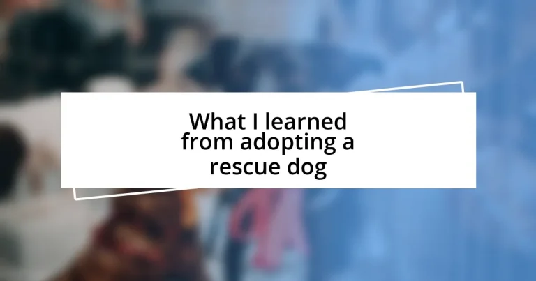 What I learned from adopting a rescue dog