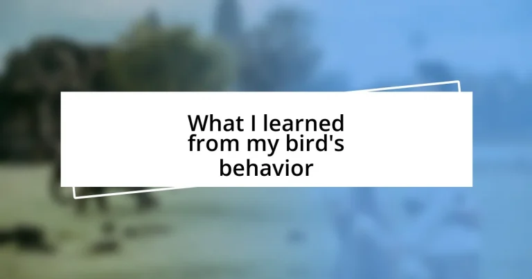 What I learned from my bird’s behavior