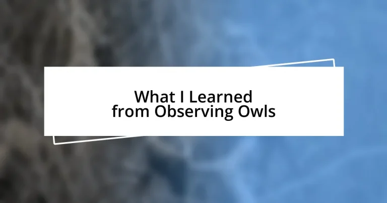 What I Learned from Observing Owls