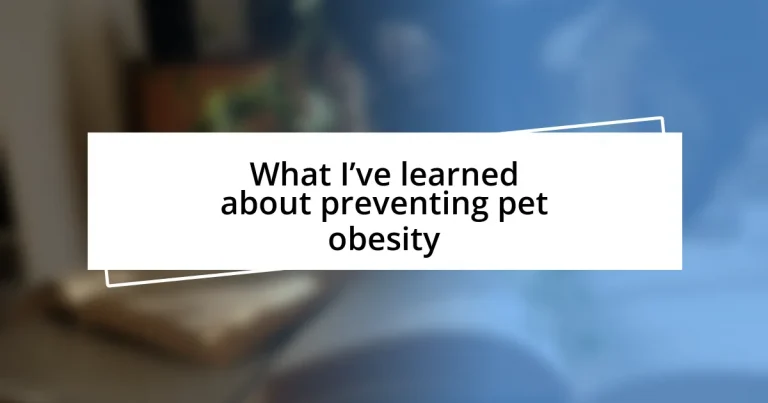 What I’ve learned about preventing pet obesity