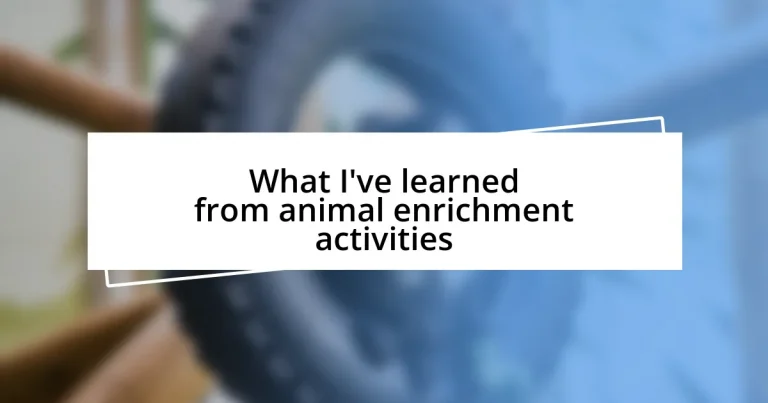 What I’ve learned from animal enrichment activities