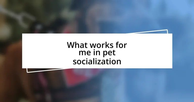 What works for me in pet socialization