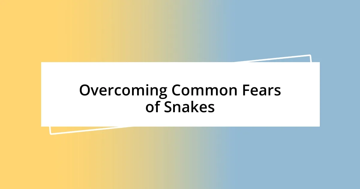 Overcoming Common Fears of Snakes