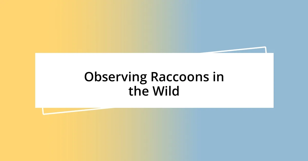 Observing Raccoons in the Wild