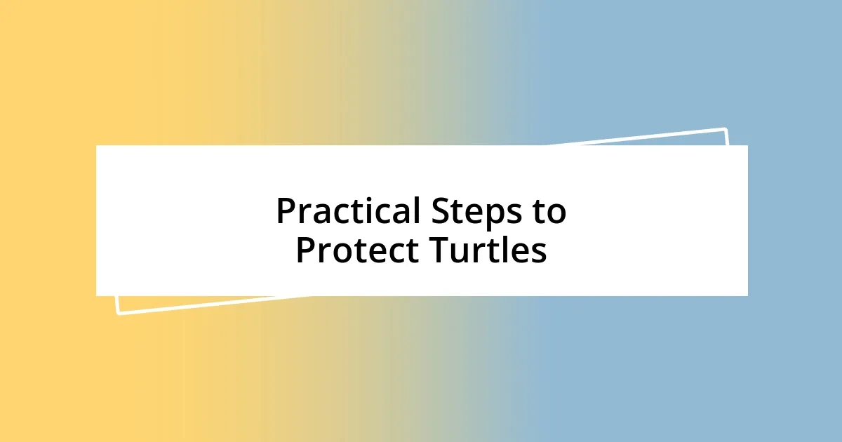 Practical Steps to Protect Turtles