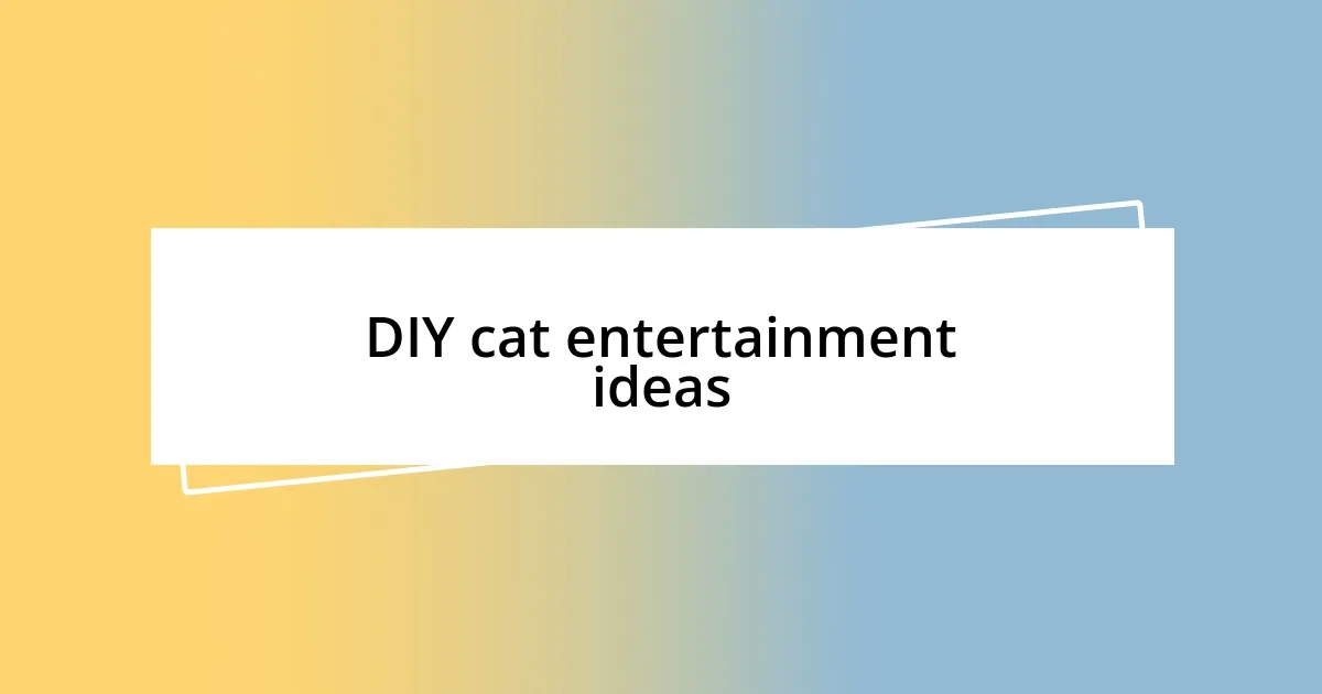 DIY cat entertainment ideas