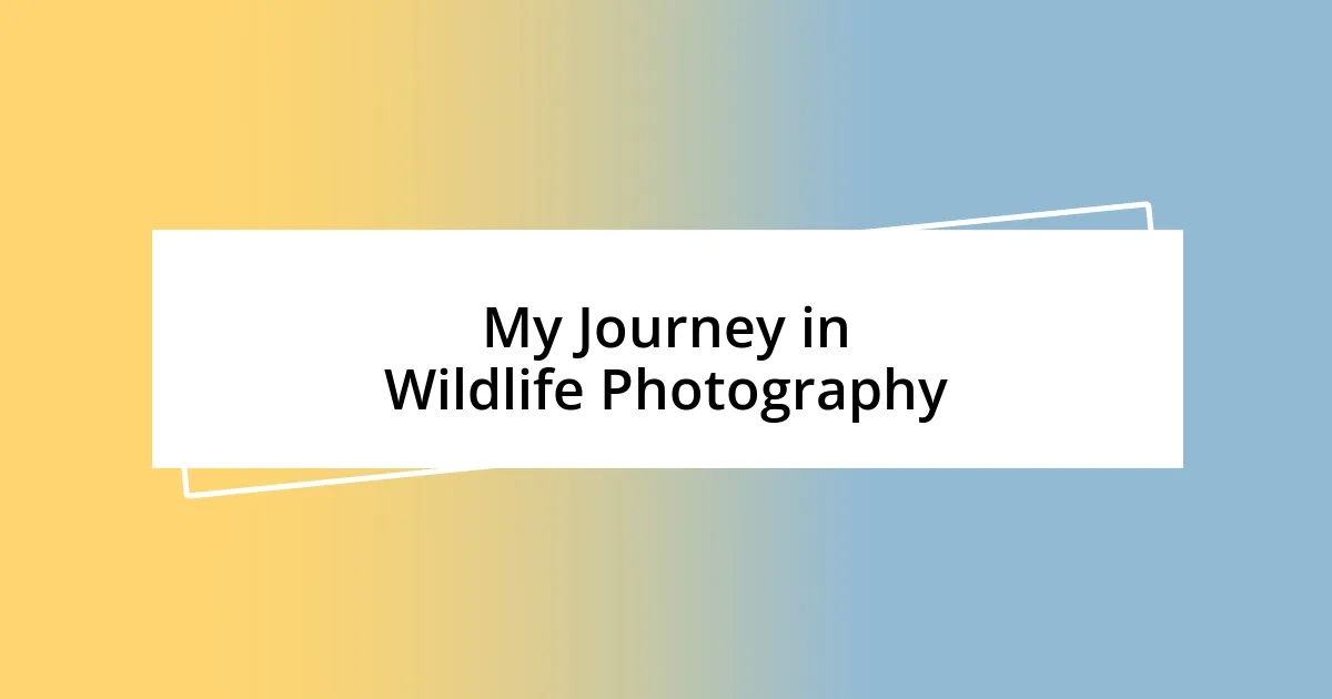 My Journey in Wildlife Photography