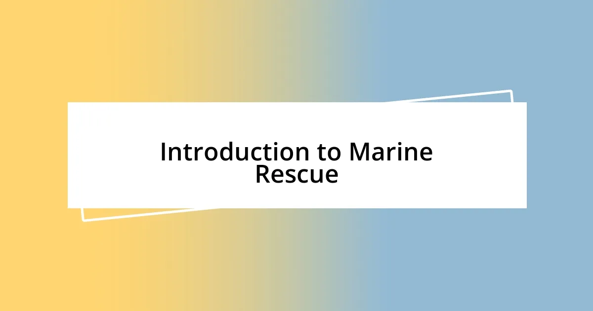 Introduction to Marine Rescue