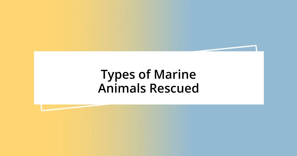 Types of Marine Animals Rescued