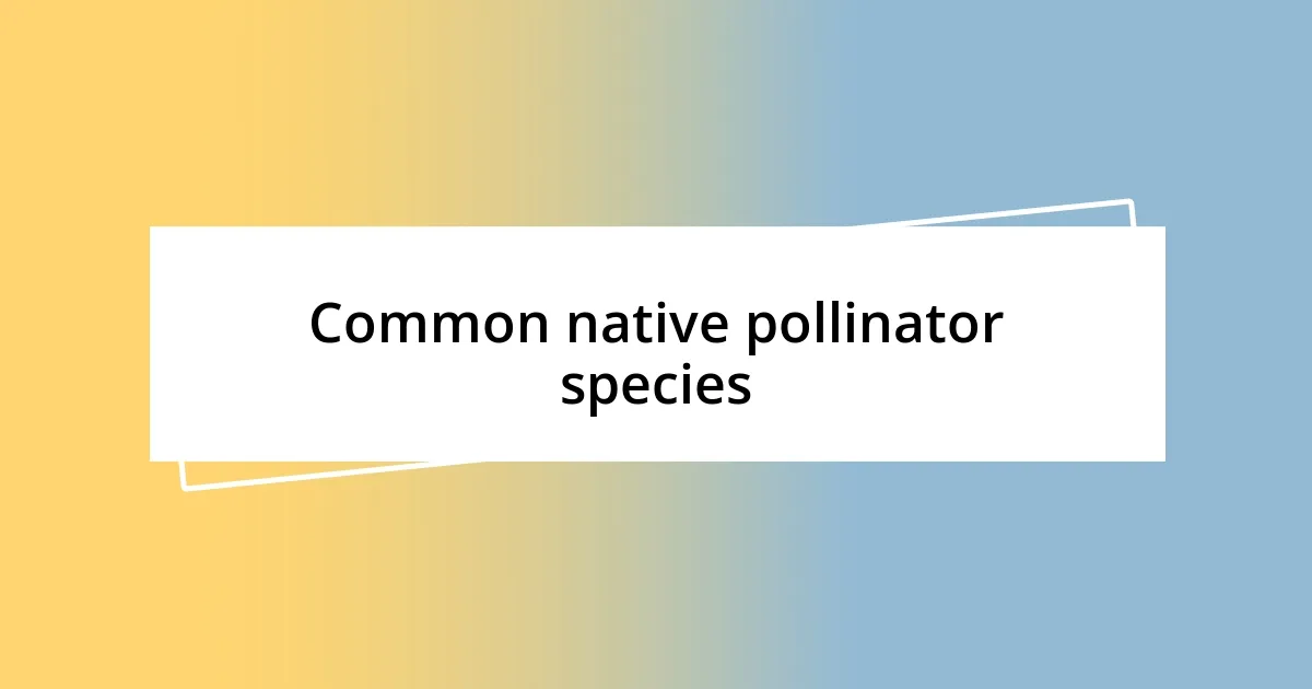 Common native pollinator species