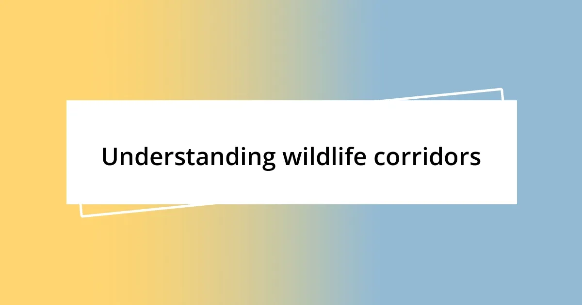 Understanding wildlife corridors