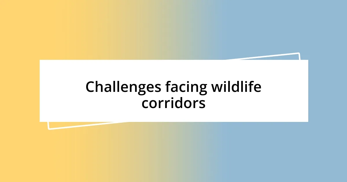 Challenges facing wildlife corridors