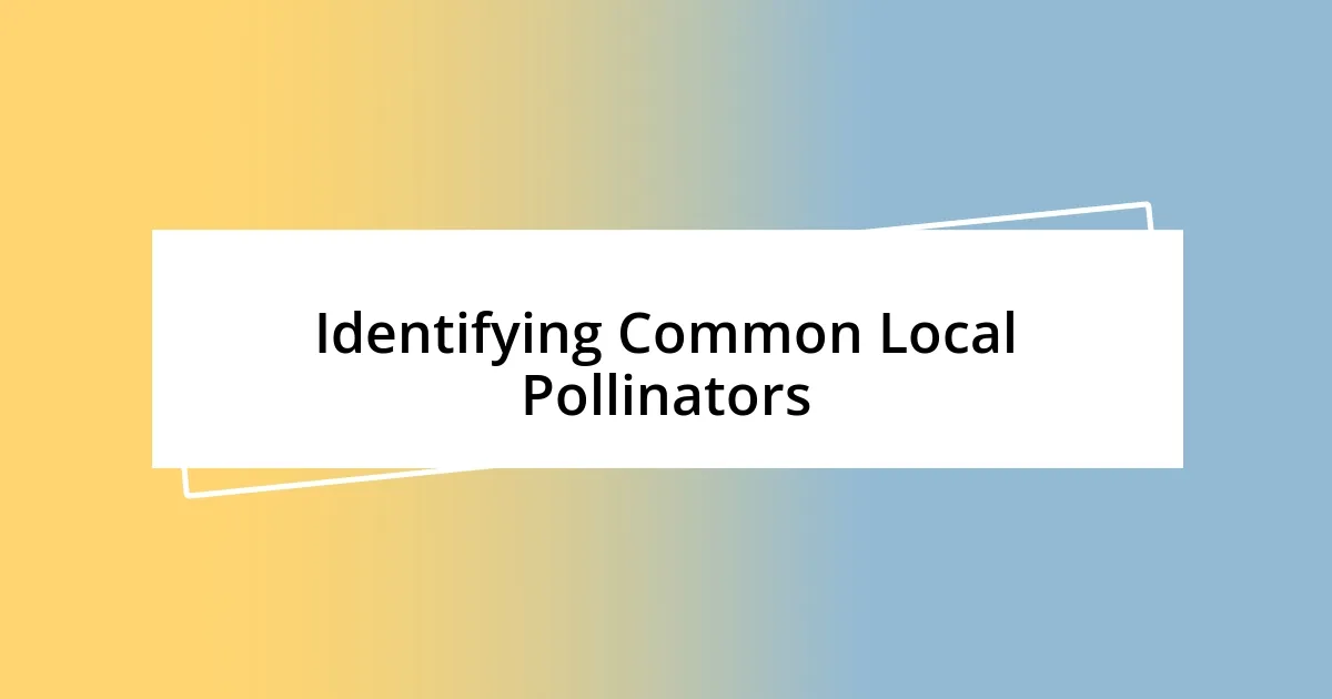 Identifying Common Local Pollinators