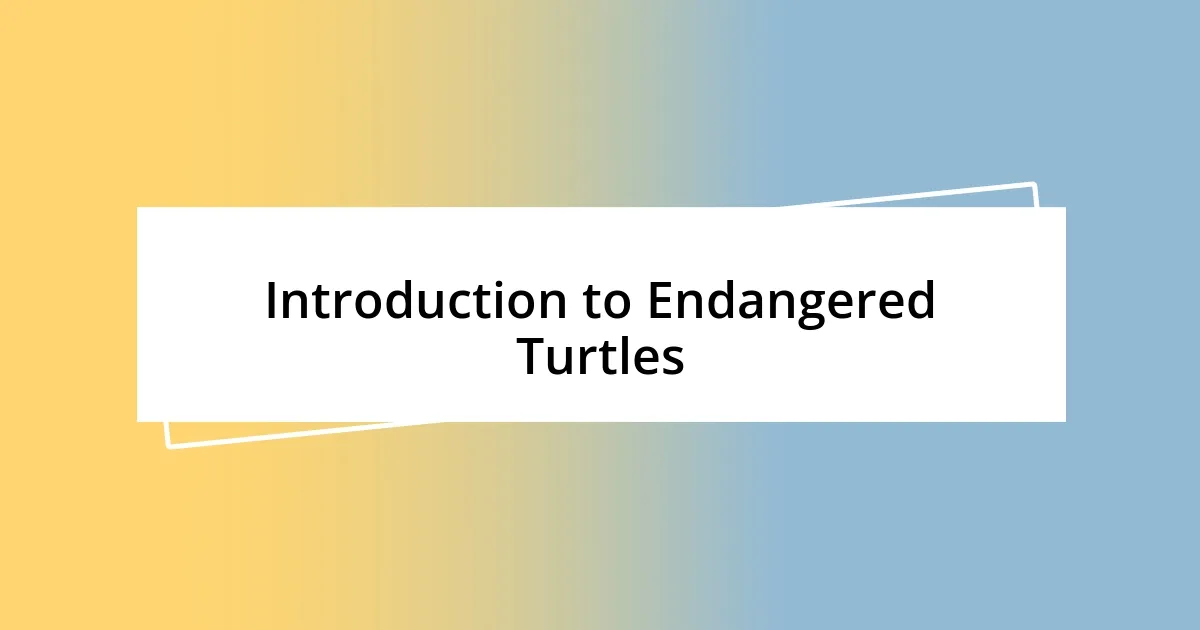 Introduction to Endangered Turtles