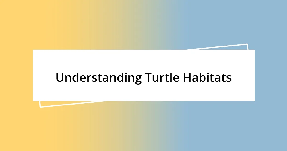 Understanding Turtle Habitats