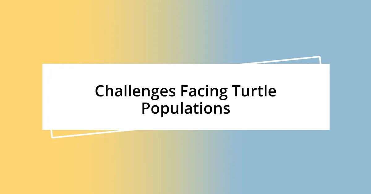 Challenges Facing Turtle Populations