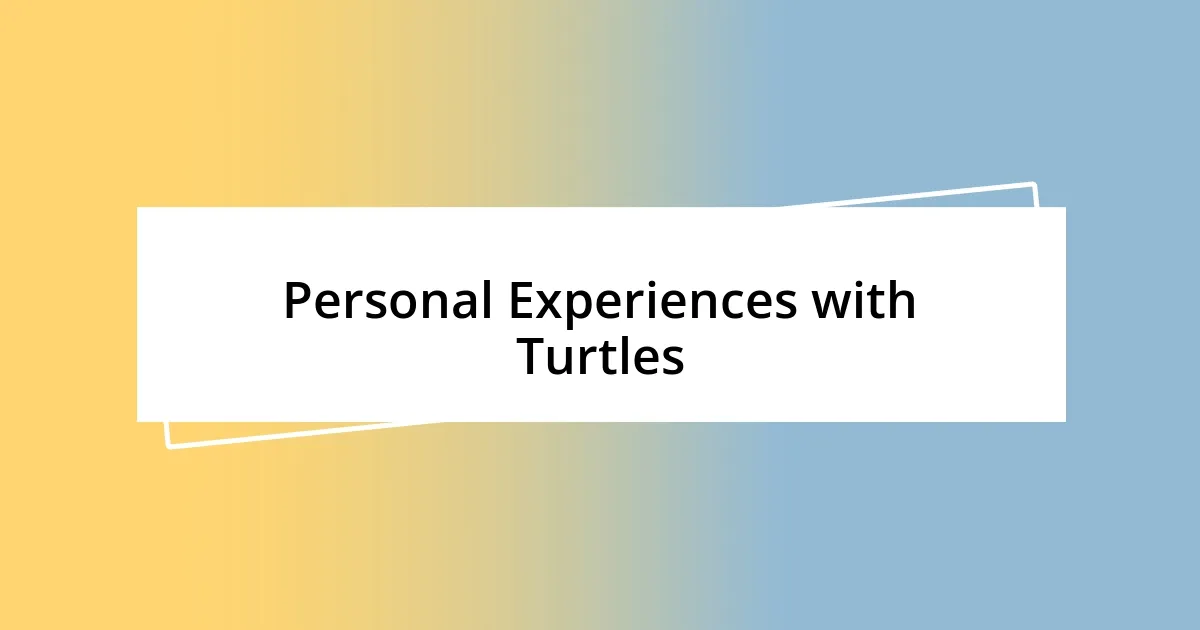 Personal Experiences with Turtles