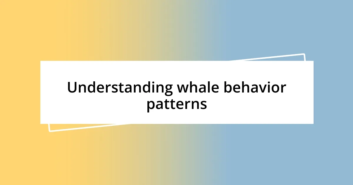 Understanding whale behavior patterns