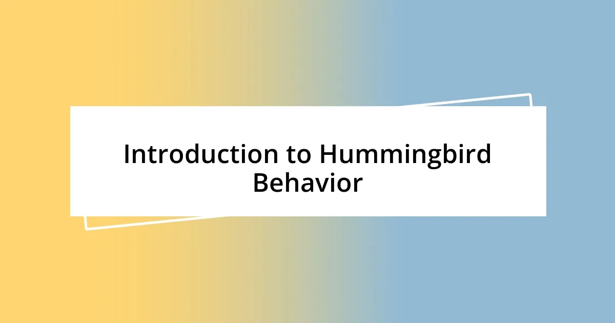 Introduction to Hummingbird Behavior