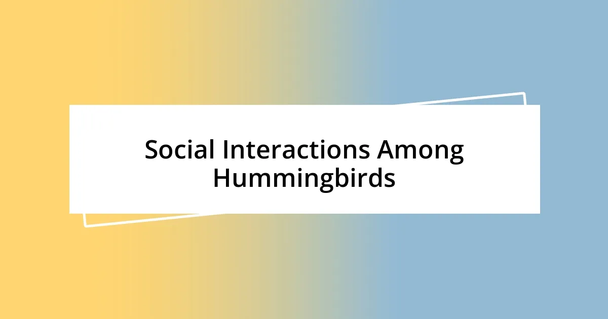 Social Interactions Among Hummingbirds