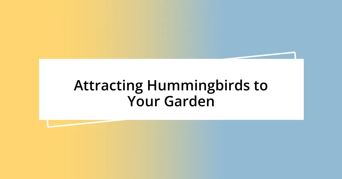 Attracting Hummingbirds to Your Garden