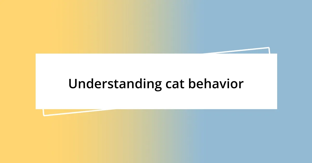 Understanding cat behavior