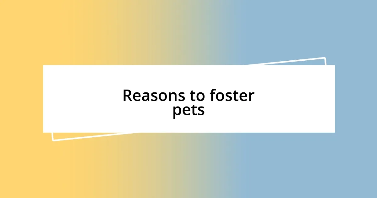 Reasons to foster pets