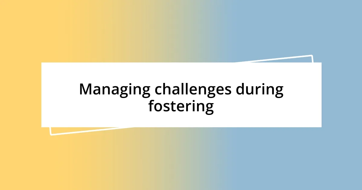 Managing challenges during fostering