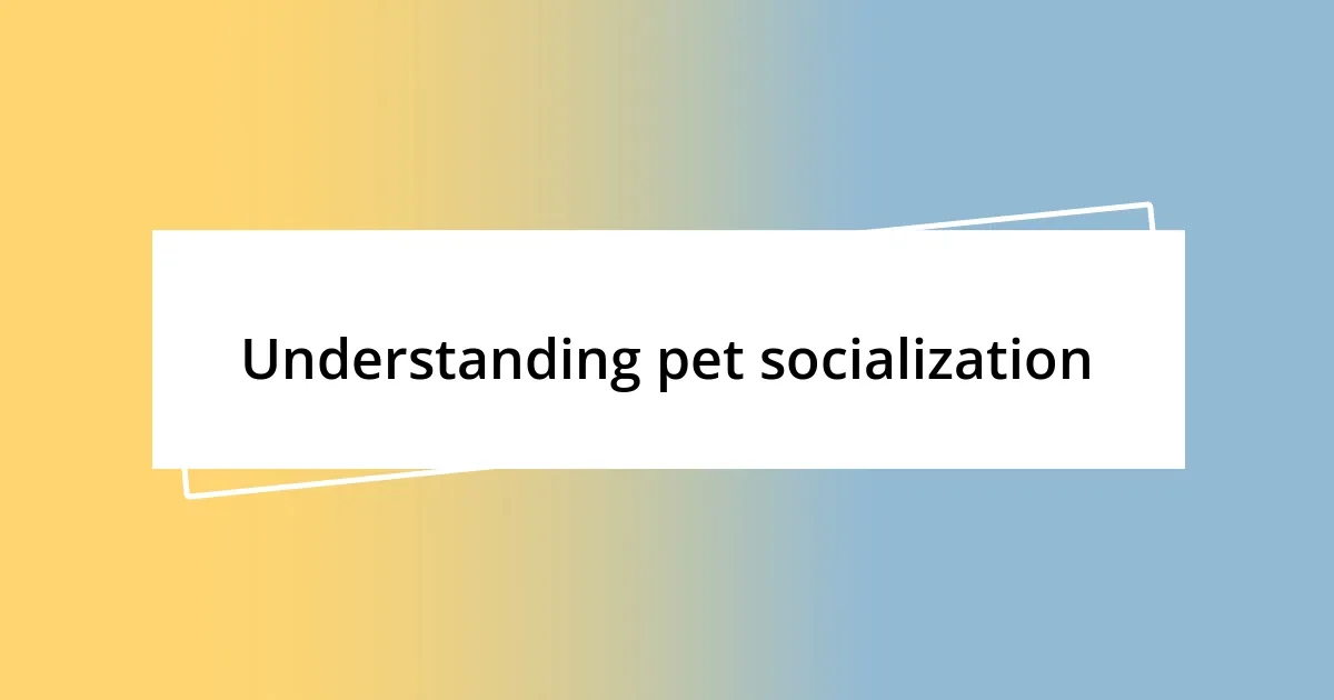 Understanding pet socialization