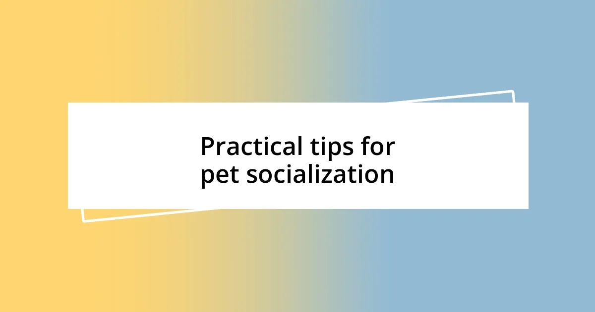 Practical tips for pet socialization